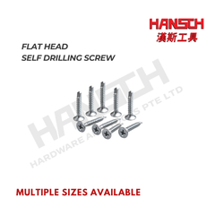 Flat Head Self Drilling Screw #6 / #8 / #10 Various Sizes 平头自钻螺丝