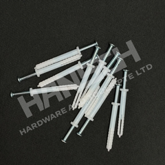 Impact Anchor with Steel Nail | Hammer-In Wall Plug Fastener 敲击式膨胀锚栓配钢钉