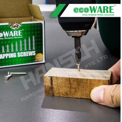 ecoWARE Tapping Screw – Self-Tapping Screws (Multiple Sizes Available) 自攻螺丝 - 多种尺寸可选