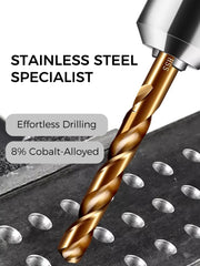 HS Double -Twist Drill Bit 全磨制双头麻花钻