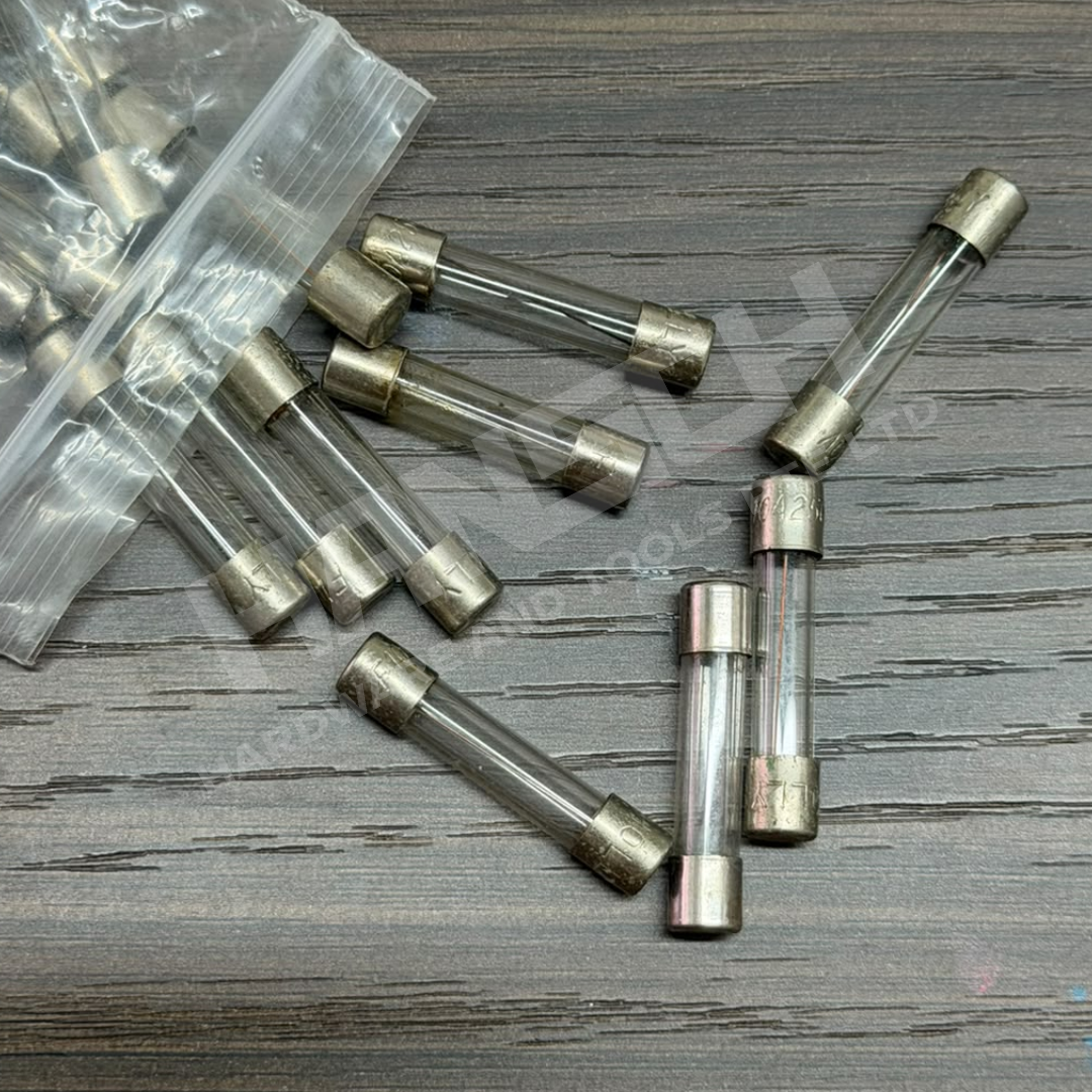 F10A 250V Fast-Blow Glass Cartridge Fuse 快断型玻璃管保险丝