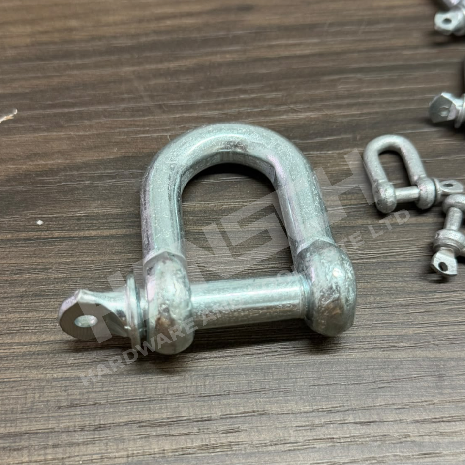 Galvanized D Shackle - Type "D" Screw pin chain shackle 镀锌D型卸扣 - 多种尺寸可选