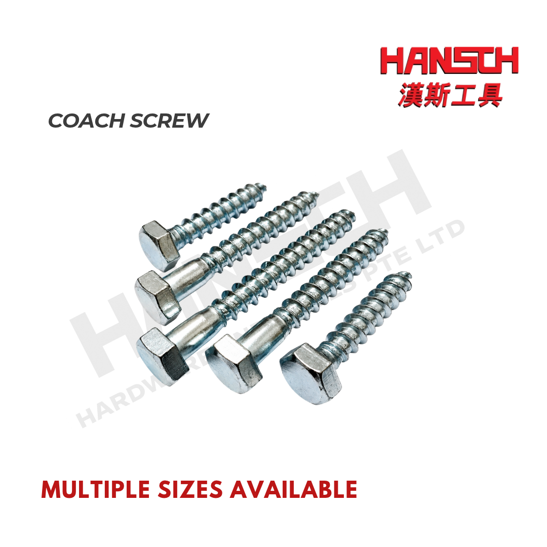 Hex Head Coach Screw Various Sizes 六角头木螺丝（多种尺寸可选）