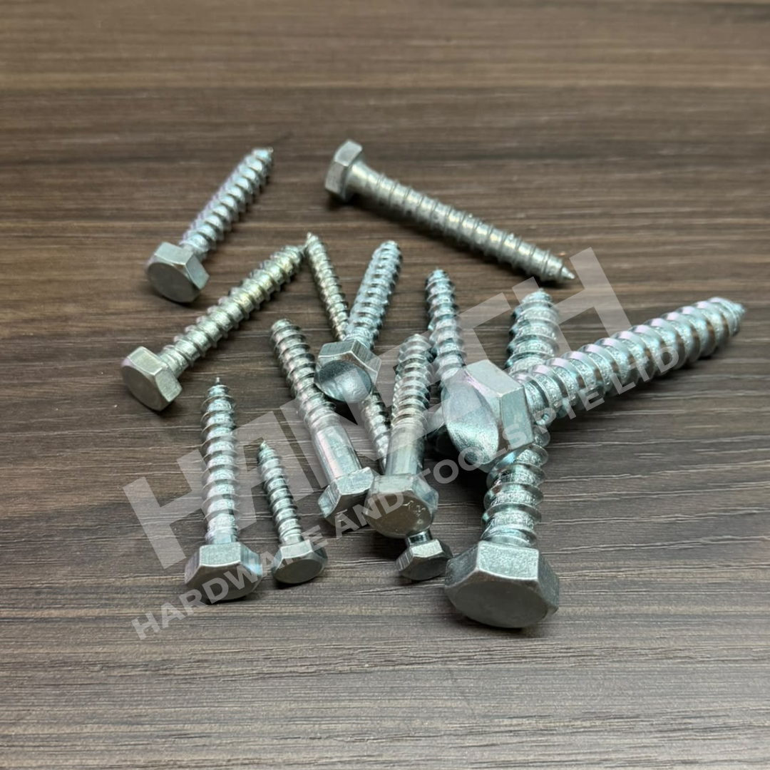 Hex Head Coach Screw Various Sizes 六角头木螺丝（多种尺寸可选）