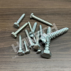 Hex Head Coach Screw Various Sizes 六角头木螺丝（多种尺寸可选）