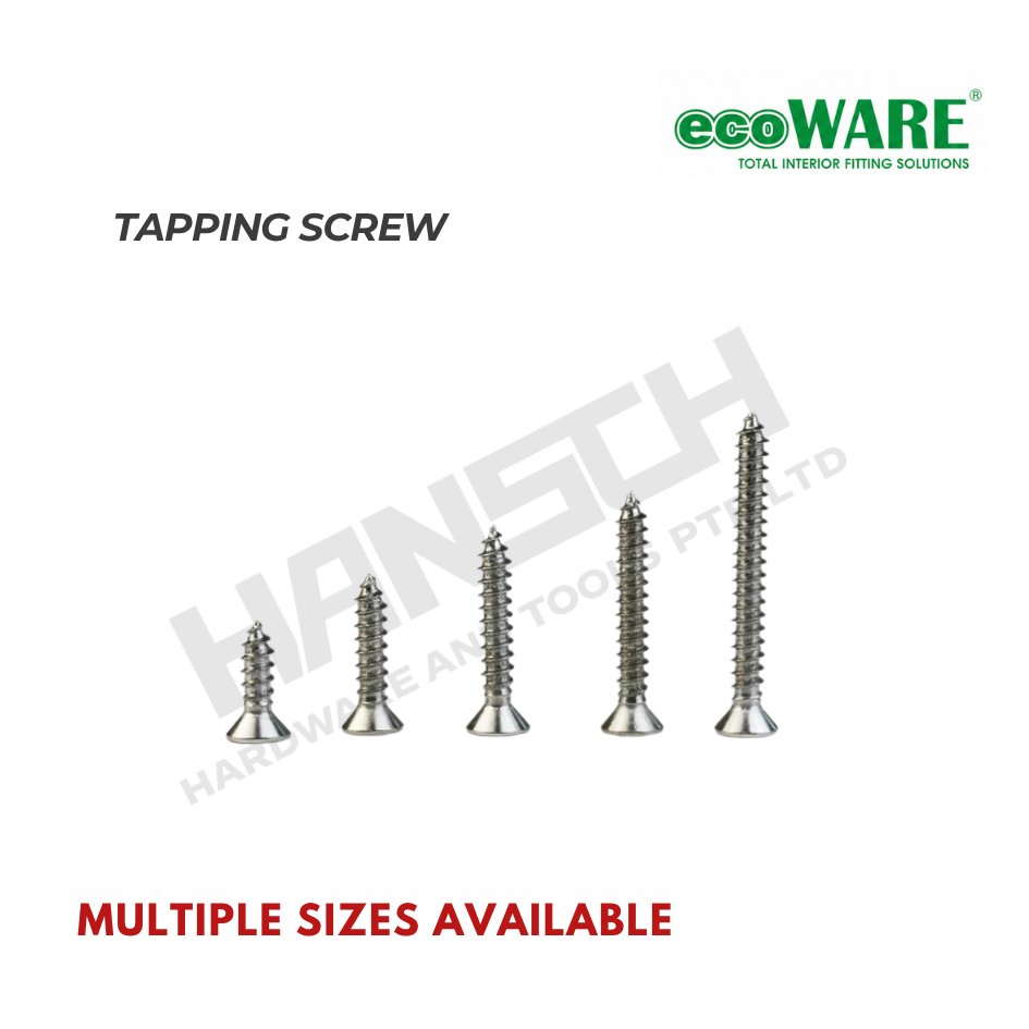 ecoWARE Tapping Screw – Self-Tapping Screws (Multiple Sizes Available) 自攻螺丝 - 多种尺寸可选